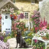 Cottage Garden 500 Piece XL