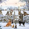 Donkey Encounter 1000 piece Jigsaw Puzzle