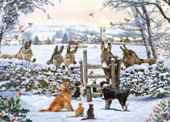 Donkey Encounter 1000 piece Jigsaw Puzzle
