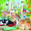 Green House Cats 1000 Piece Puzzle