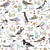 Madeleine Floyd Seabirds