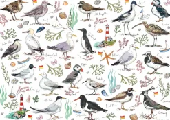 Madeleine Floyd Seabirds