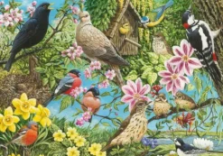 Natures Finest | 500 Piece