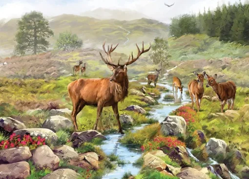 Red Stag,National Park 1000 Piece Puzzle