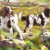 Spaniels On The Moor 1000 Piece Jigsaw Puzzle